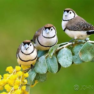 Meet your Posher, Anamaria